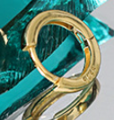 Close-up of a gold ring with a green background