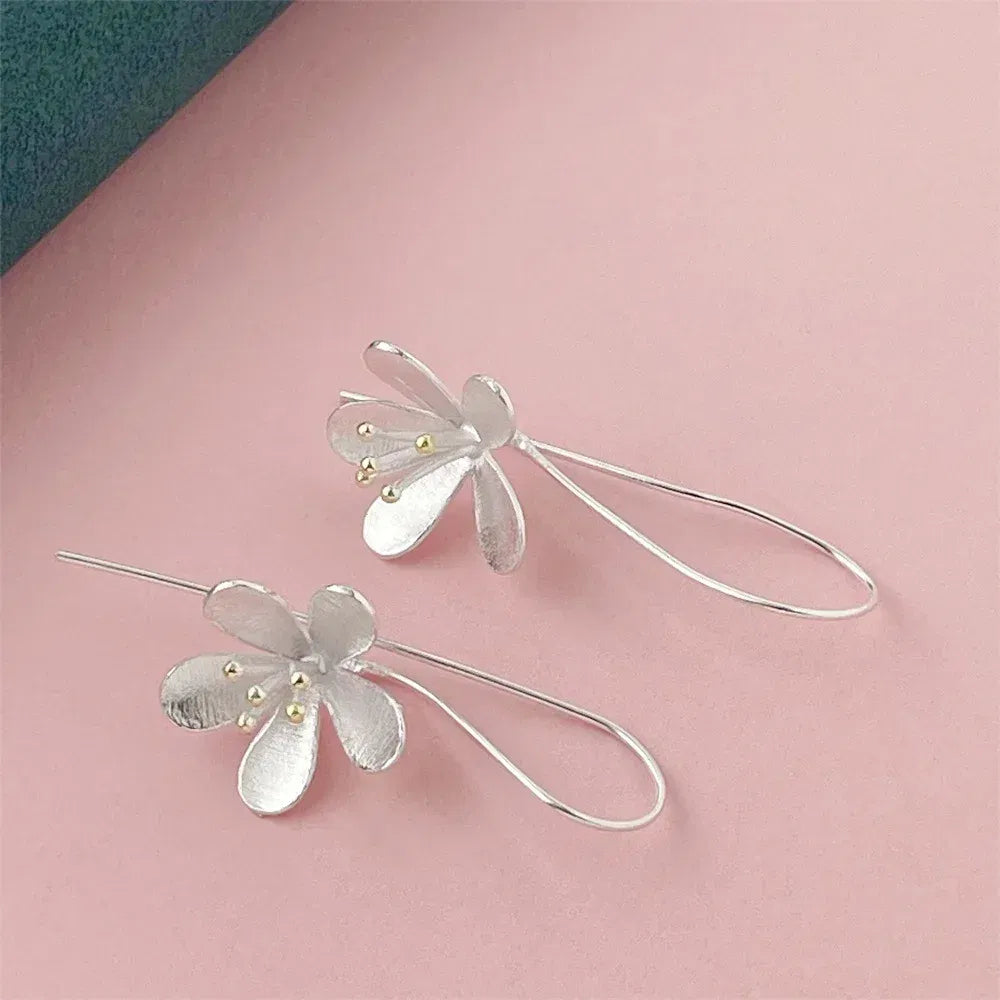 Gem Color: Brown - 925 Silver Heart Shape Earrings Women Exquisite Student Jewelry Accessories