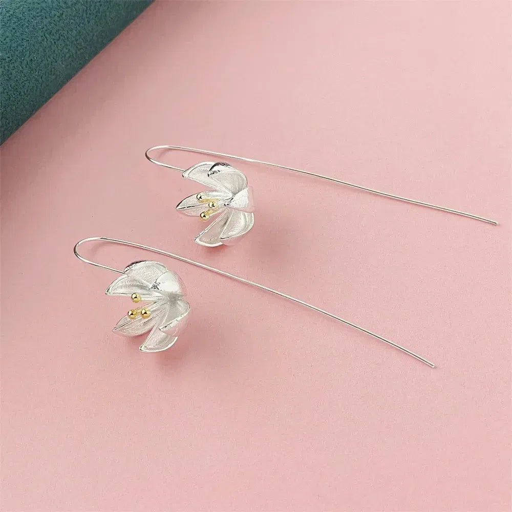 Gem Color: Brown - 925 Silver Heart Shape Earrings Women Exquisite Student Jewelry Accessories